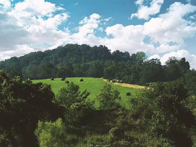 nature